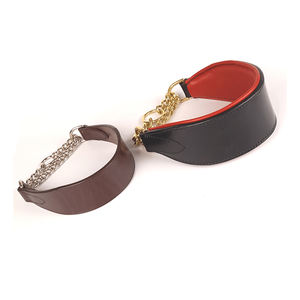 OT selling-collar para mascotas con estampado de diseñador lujoso, collar para mascotas - Product Image 1