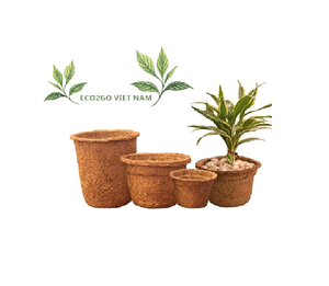Pot en fibre de coco de coco biodégradable durable et écologique, idéal pour la culture de plantes dans votre jardin, prix bon marché de gros - Product Image 3