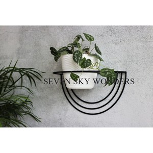 Maceta colgante de hierro para interiores, maceta de jardín, valla para colgar en la pared, maceta de plantas de tamaño personalizado de calidad Superior para uso doméstico al aire libre - Product Image 1