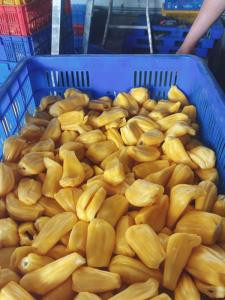 Supplier Frozen Whole Jackfruit Natural <b>Sweet</b> Fresh and Frozen Jackfruit with Seed Bulk High Quality - Product Image 3