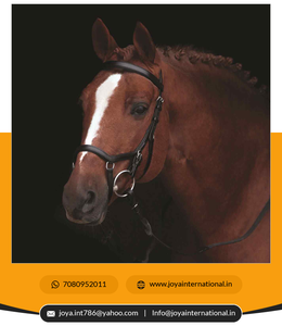 Brida Rambo Micklem de alta calidad para montar a caballo, nuevo estilo, bridas occidentales con cuero, riendas de cabeza de PVC, diseño plegable - Product Image 5