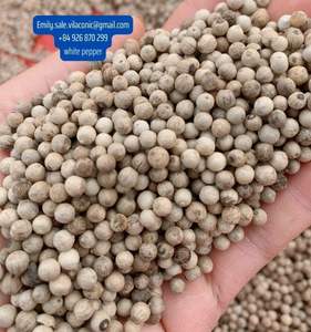 พริกไทยขาว630GL การแปรรูปดิบ Asta สะอาดจากเวียดนาม - Product Image 5