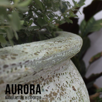 La jardinière tropicale est le meilleur choix pour la maison ou le jardin avec un design antique et une forme de taille personnalisée fabriquée au Vietnam