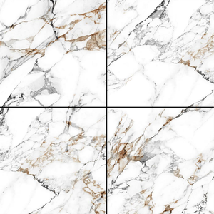 Carreaux fabriqués en inde avec des carreaux céramiques émaillés et émaillés avec une finition brillante de 600x600mm, utilisés pour les hôpitaux - Product Image 6