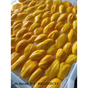 Dehydrated <b>Mango</b> Vietnam Origin: Natural Tasty Soft Dried Spicy <b>Mango</b> Chili Salt Snack, Cheap Price, Wholesale. - Product Image 5