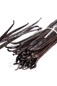 Fèves de vanille Planifolia - Qualité Gourmet - Qualité naturelle supérieure, meilleurs prix, saveur riche et aromatique, en vrac, origine Indonésie - Product Image 2