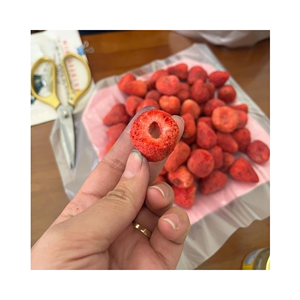 Copos de fresa liofilizados de alta calidad, material: bayas seleccionadas; uso: producción de postres; origen: proveedor de Vietnam - Product Image 6