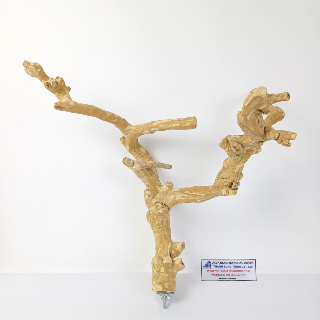 ธรรมชาติ