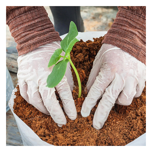 Wholesale 5 kg Coco Peat <b>Block</b>, 100% Natural Coco <b>Coir</b> Fiber for Soilless Gardening, Coco Bale - Product Image 5