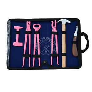 Kit Premium para el Cuidado de Cascos de Caballos, Alicates Cortadores, Pinza para Clavos, Extractor de Clavos, Juego Rosa, Pulidor Doble y Martillo para Cascos - Product Image 1