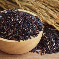 TOP VENTES RIZ NOIR GLUTINEUX EN VRAC FOURNITURE EN GROS PRODUIT NATUREL DE QUALITÉ SUPÉRIEURE PRIX D'EXPORTATION