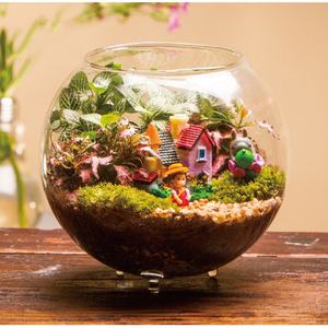 <span class=keywords><strong>Plante</strong></span> <span class=keywords><strong>monde</strong></span> chaud <span class=keywords><strong>maison</strong></span> petite bouteille écologique paysage - Product Image 1