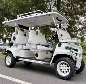 Carrito de Golf Eléctrico 4x4 Listo para Circular, Homologado para Calle, con Asiento y Batería de Plomo-Ácido - Product Image 1