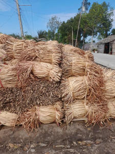 Sun dried Vietnam water hyacinth durable strands perfect for manufacturing <b>woven</b> products for home and commercial projects - Product Image 2