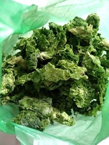 Vente en gros de poudre d'algues séchées Ulva Lactuca Verte Laver Aonori Ulva Lactuca - Product Image 5