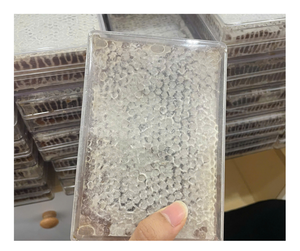 Panal multifloral de Vietnam: pastel de miel de abeja salvaje, calidad superior, mejor oferta de exportación, venta a granel, ofertas competitivas - Product Image 3