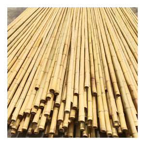 Postes grandes de bambú, venta al por mayor de Vietnam, postes de bambú natural para la construcción y fabricación de muebles-BP007 - Product Image 1