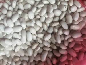 Lima White <b>Beans</b> Dried Natural Food Grade Common Cultivation Export Ready Custom Packaging For Sale - Product Image 4
