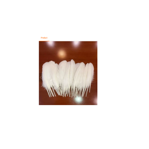 Superbe Boa en Plumes d'Oie en Gros, 95% Plumes Brutes Lavées, Haute Qualité, Taille Personnalisée, pour Mariage, Motif Teint, Garniture en Plumes - Product Image 6