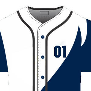 Services ODM Maillots de baseball personnalisés Logo imprimé Étiquettes privées Fabrication artisanale Terre 100% polyester Antibactérien Col en V - Product Image 3