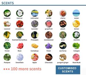 Customized Shaped Paper <b>Car</b> Air Freshener Premium Hanging <b>Trees</b> Natural Long Lasting 100+ Scents Private Label Room Deoderizer - Product Image 3