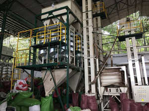 พริกไทยขาวและพริกไทยดำเครื่องเทศแห้งแปรรูปด้วยวิธีการอบแห้งด้วยแสงแดด - Product Image 5