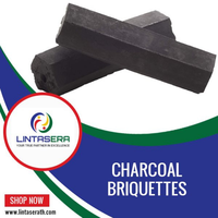 Briquettes de charbon de noix de coco pour barbecue de haute qualité de Thaïlande en gros 100% charbon de noix de coco naturel