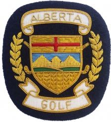 Insignias de alambre de lingotes de moda de alta Fabricación de alta calidad nuevo diseño insignias de alambre de lingotes de moda parche de precio personalizado #012687 - Product Image 2