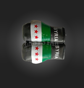 OEM al por mayor precio barato personalizado Mini guantes de boxeo coche colgante llavero precio de fábrica al aire libre-aplicable Siria país bandera - Product Image 5