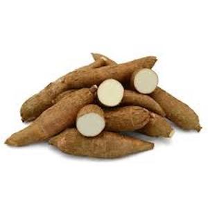 Mandioca fresca orgánica de alta calidad al mejor precio a la venta - Product Image 3