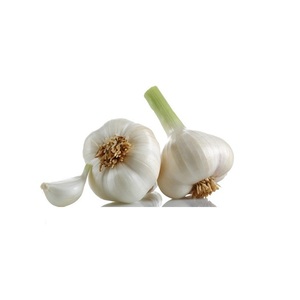 Exportación Embalado en 10kg en bolsa de malla de cartón Ajo blanco normal fresco - Product Image 1