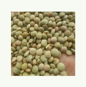 Lentilles vertes de haute qualité Lentilles rouges Lentilles brunes au prix de gros - Product Image 6