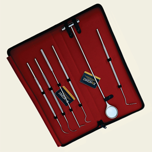 Equipo dental de calidad superior, escalador Dental equino, escaladores, sonda, espejo, explorador, Kit veterinario, herramientas de herrador de calidad A + - Product Image 6