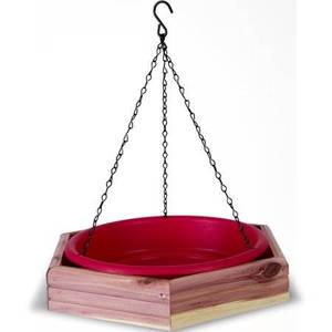 Alimentador de pájaros de alambre de Metal de calidad superior, alimentador de pájaros decorativo para el hogar de diseñador atractivo para accesorios de jardín más vendidos - Product Image 4