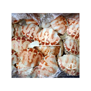 MEJOR VENTA CLEAN CRAB SEASHELL mejor precio 10-13cm Vietnam - Product Image 1