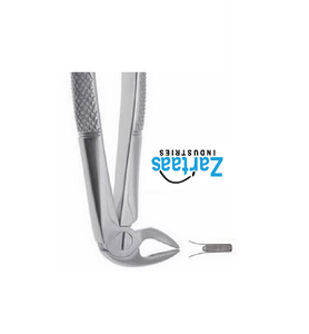 คีมถอนรากฟันสแตนเลสคุณภาพสูง รุ่นถอนรากฟันล่าง ผู้ผลิตและผู้ส่งออก 33 ราย - Product Image 2