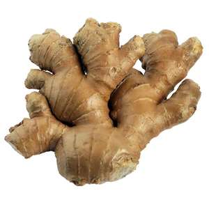 Organic <b>Fresh</b> <b>Ginger</b> US Origin - Product Image 4