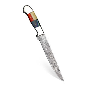 Cuchillo de Deshuesar de Damasco Hecho a Mano, Cuchillo Profesional de Acero de Damasco Forjado a Mano con Mango de Madera - Product Image 1