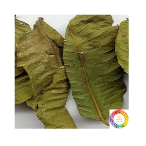 Thé aux feuilles de goyave Mélange de plantes de qualité supérieure Emballage en gros personnalisé Feuille de goyave séchée de haute qualité pour le plaisir quotidien du thé - Product Image 6