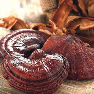 <span class=keywords><strong>Ganoderma</strong></span> <span class=keywords><strong>Lucidum</strong></span> Lingzhi Reishi, fabricante profesional, seta seca completa - Product Image 2
