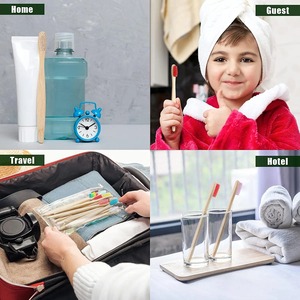 Brosse à dents en charbon de bambou souple à usage domestique 2025 pour adultes Super doux biodégradable avec boîte à poils en bois naturel emballée - Product Image 6