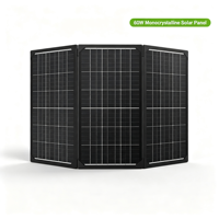 Panneau solaire pliable 60W, laminé ETFE, 24% d'efficacité élevée, USB-C PD, IP67, pour camping-car