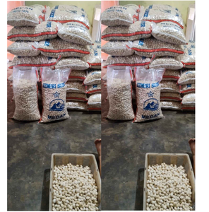 เมล็ดน้ำตาลคั่ว จำหน่ายทั้งเมล็ดทั้งลูก แบบผ่าครึ่ง แบบบดละเอียด คุณภาพเยี่ยม ผลิตในอินโดนีเซีย ประเภทการปลูกแบบธรรมชาติ เกรดพรีเมียม - Product Image 5