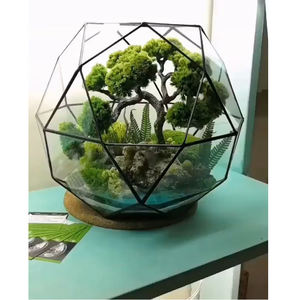 Cajas de Joyería de Latón con Acabado Negro de Calidad Superior, Terrario con Borde de Vidrio Transparente, Florero Decorativo de Vidrio para Hogar u Oficina - Product Image 5