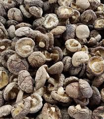<b>DRIED</b> SHIITAKE MUSHROOM / CLEAN LABEL / <b>PLANT</b> ORIGIN / NATURAL DRY - Product Image 4