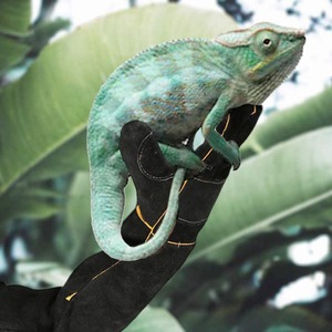 Gants de protection en cuir imperméables anti-rayures, gants de contrôle des animaux résistants aux morsures de serpent, personnalisés - Product Image 6