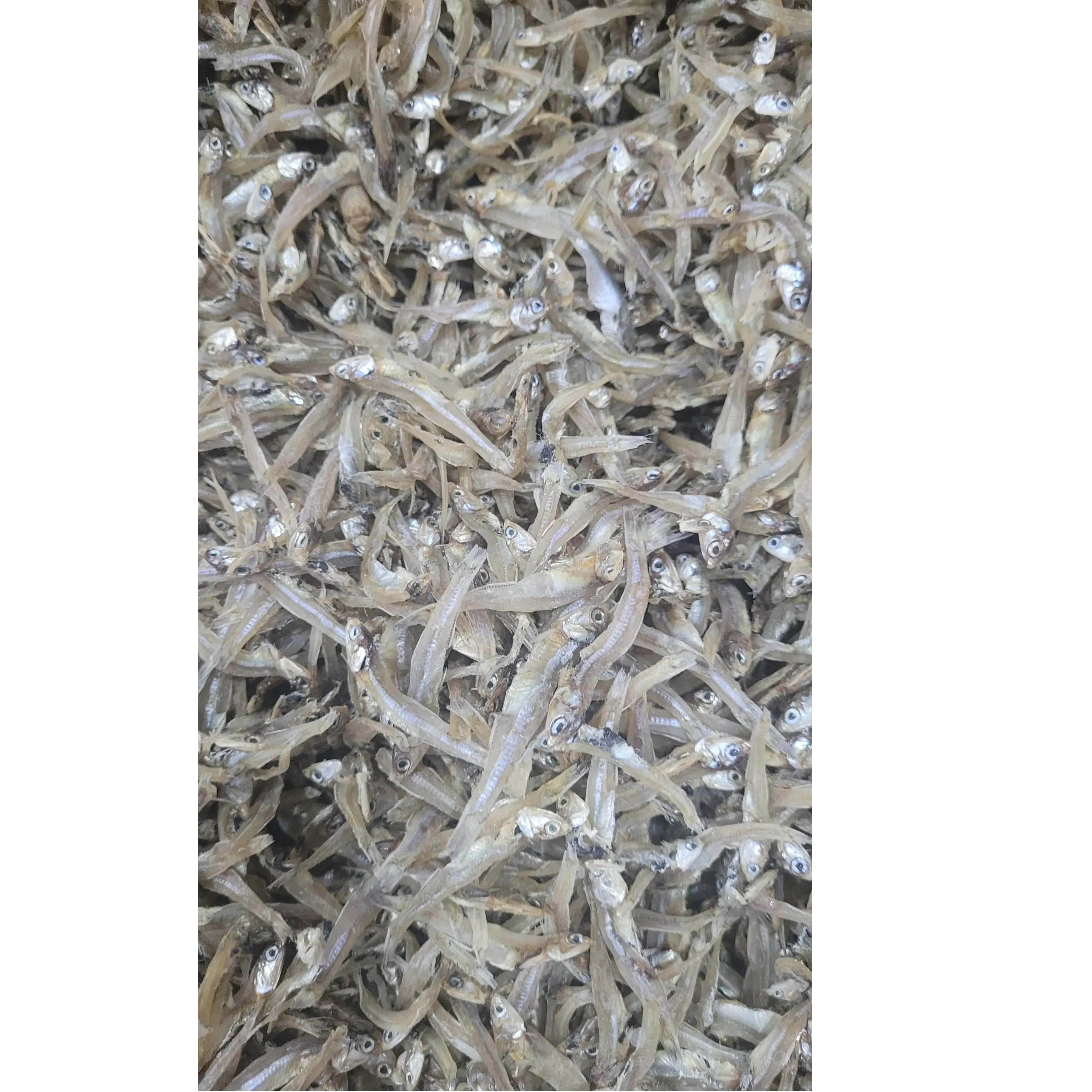베트남 말린 고품질 긴 해산물 머리 R4 (5-7cm) 100% 원시 멸치 증기없이 작은 해산물 전체 생선 멸치
