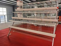 Nouveau système de cage à batterie à 4 niveaux, équipement automatique pour cages à poulets, gain de place pour l'élevage avicole à grande échelle