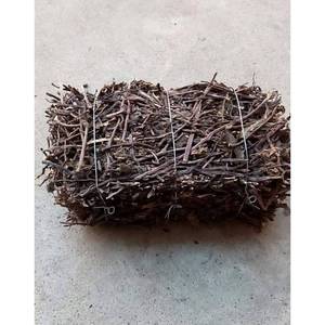 Top vente mesona chinensis noir séché emballage de qualité supérieure en grande quantité - Product Image 2