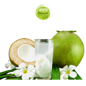 Le goût ultime de la noix de coco fraîche du Vietnam - Product Image 6